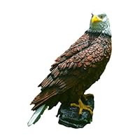 Amazon | Kirnuo最強の猛禽類、鷲、鷲の置物、鳥よけ、庭飾り